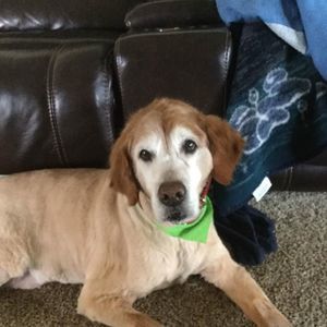 Meet your Posher, Demi